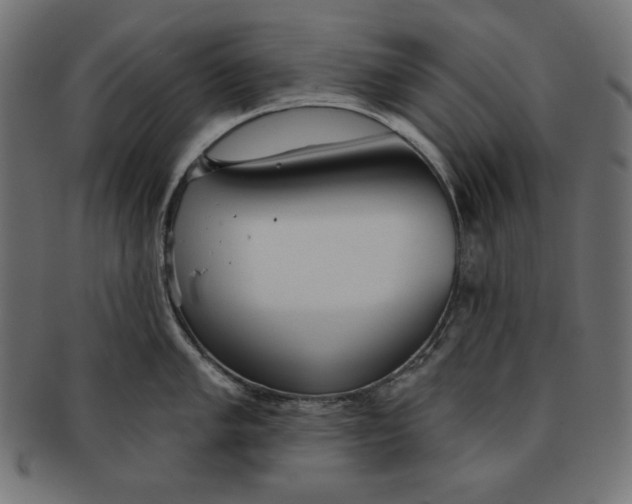 X0000091701005200709210918