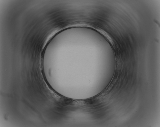 X0000091701006200709210918