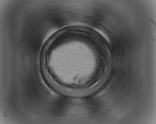 X0000091701007200709210918