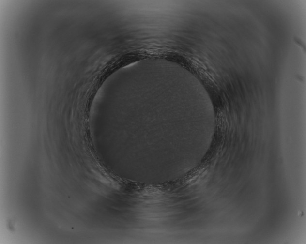 X0000091701009200709210918