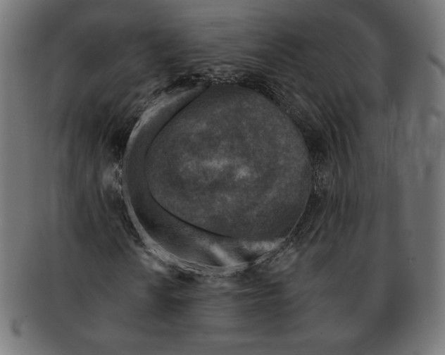 X0000091701010200709210918