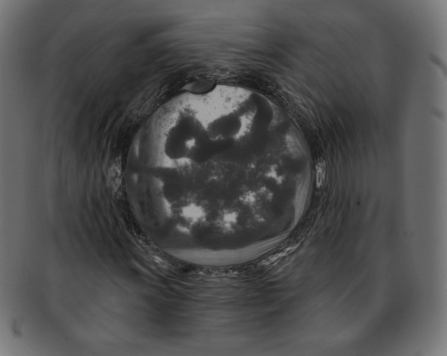 X0000091701011200709210918