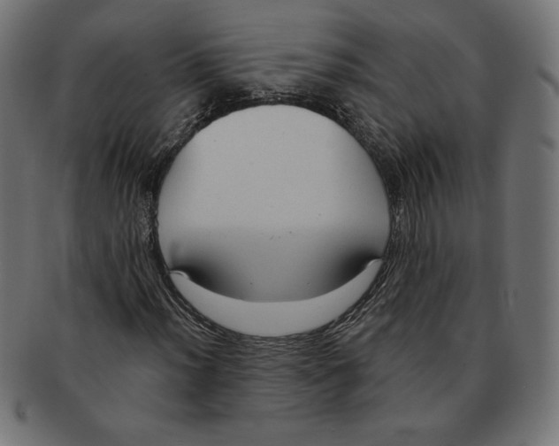 X0000091701012200709210918