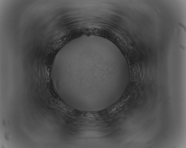 X0000091701013200709210918