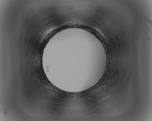 X0000091701016200709210918