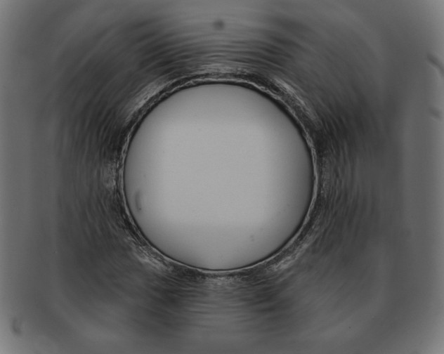 X0000091701017200709210918