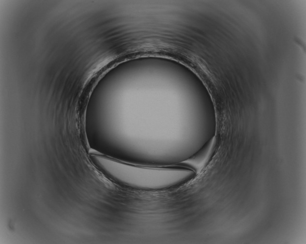 X0000091701018200709210918