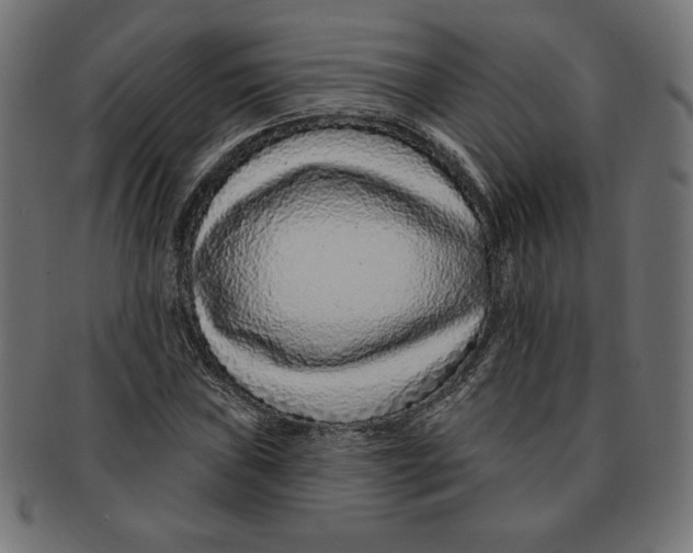 X0000091701019200709210918