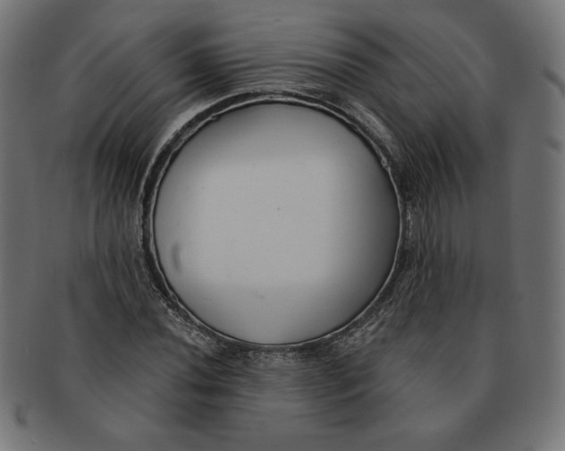 X0000091701020200709210918