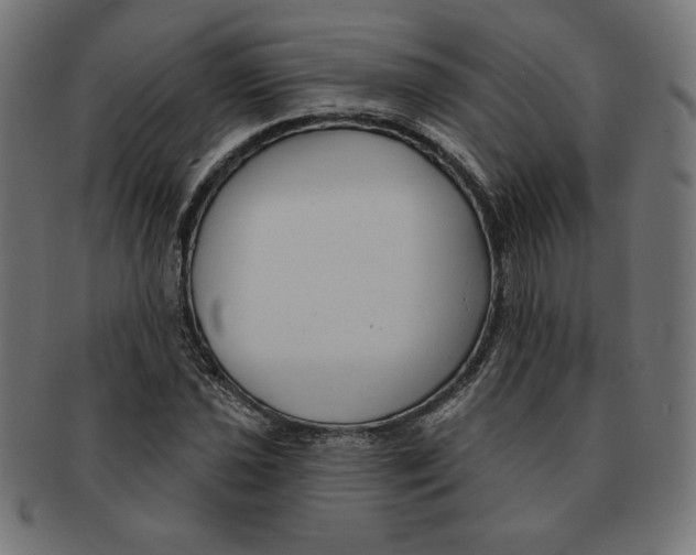 X0000091701021200709210918