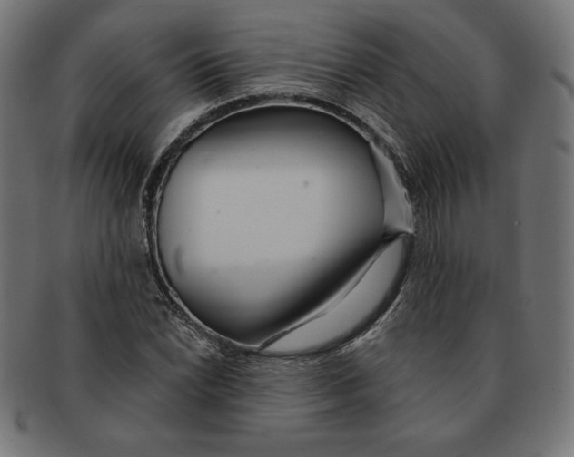 X0000091701022200709210918