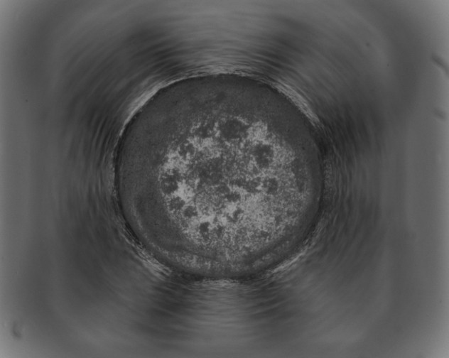 X0000091701023200709210918