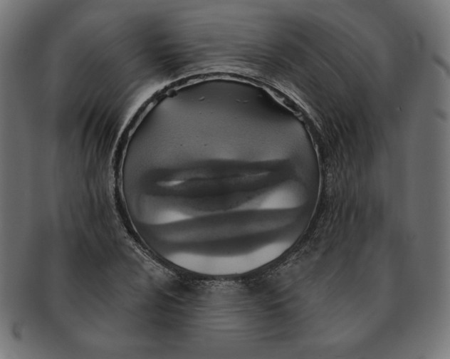 X0000091701024200709210918