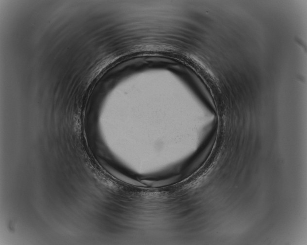 X0000091701025200709210918