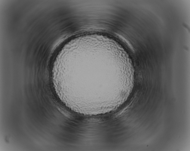 X0000091701027200709210918