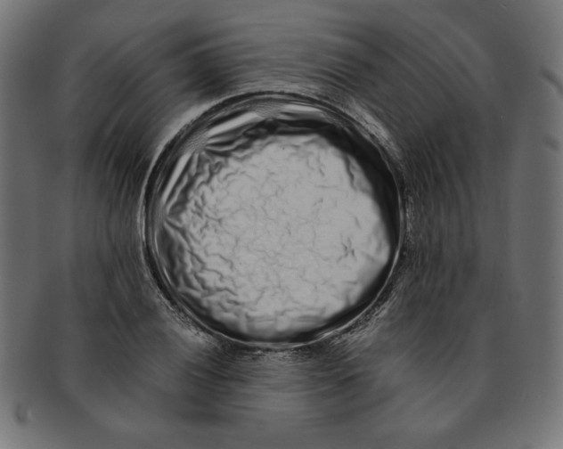 X0000091701028200709210918