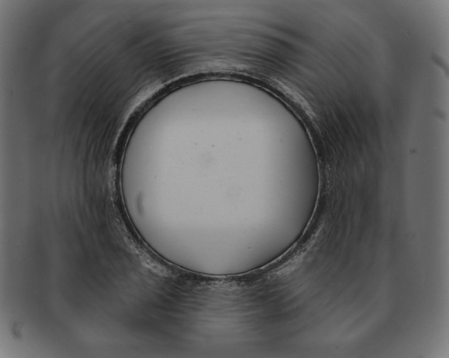 X0000091701029200709210918