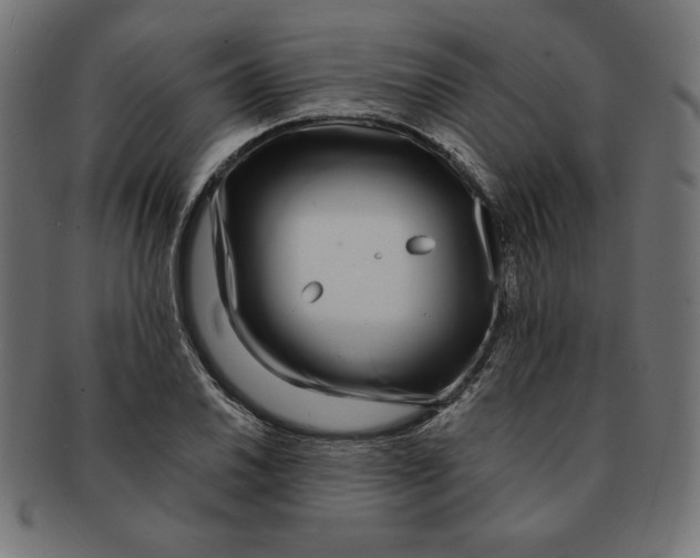 X0000091701030200709210918