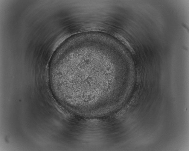 X0000091701031200709210918