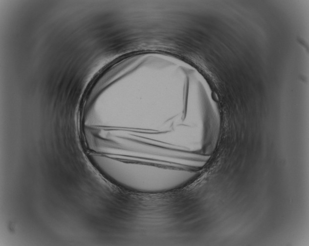 X0000091701032200709210918