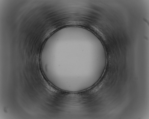 X0000091701033200709210918