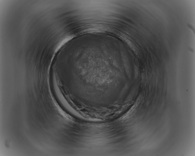 X0000091701034200709210918