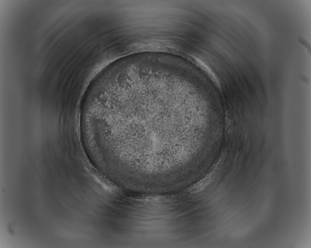 X0000091701035200709210918