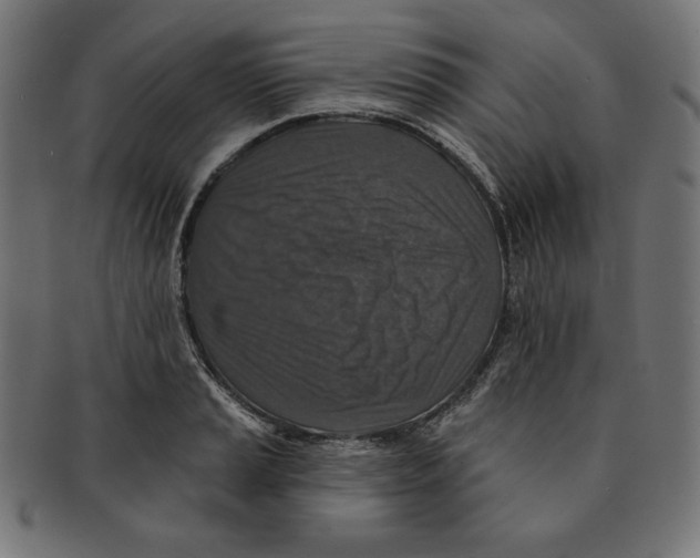 X0000091701037200709210918