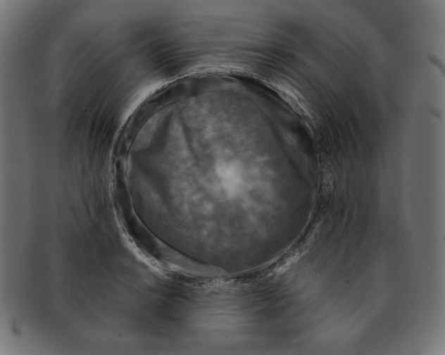 X0000091701038200709210918