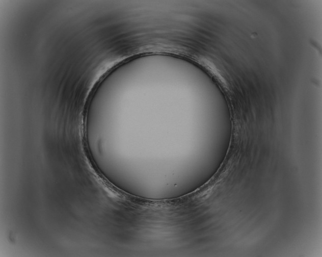 X0000091701040200709210918