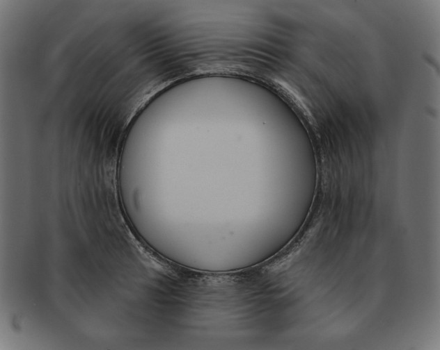 X0000091701041200709210918