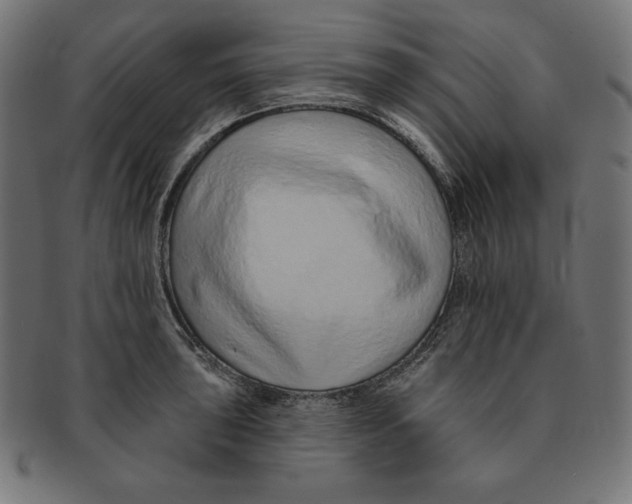 X0000091701043200709210918