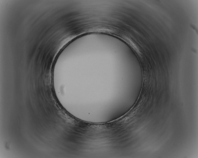 X0000091701044200709210918