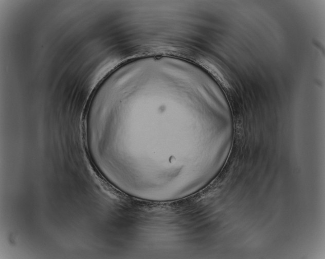 X0000091701047200709210918