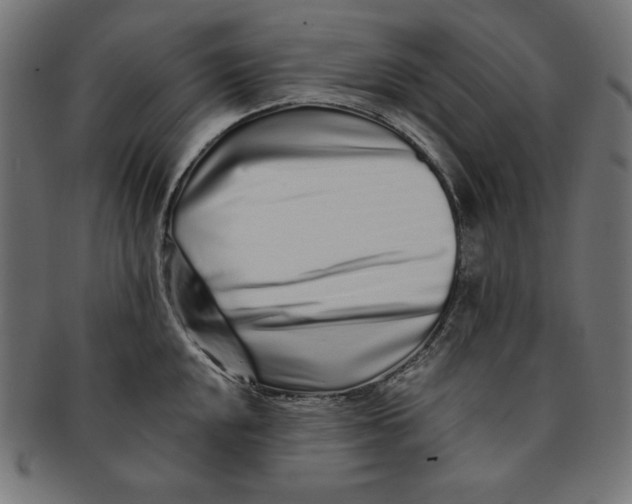 X0000091701048200709210918