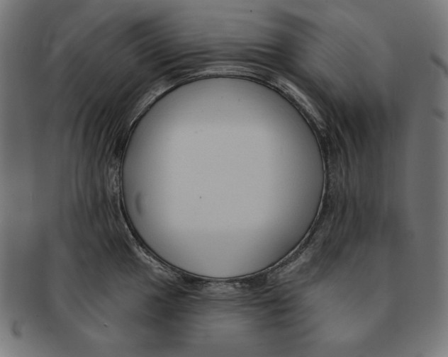 X0000091701049200709210918