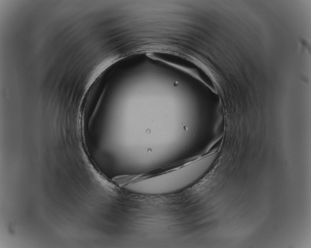 X0000091701050200709210918