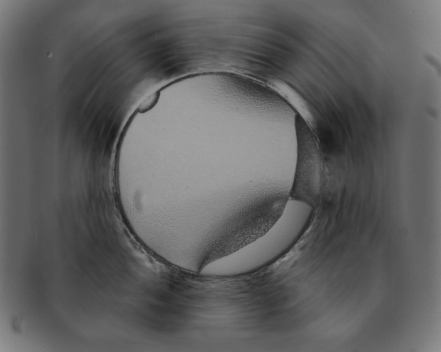 X0000091701052200709210918