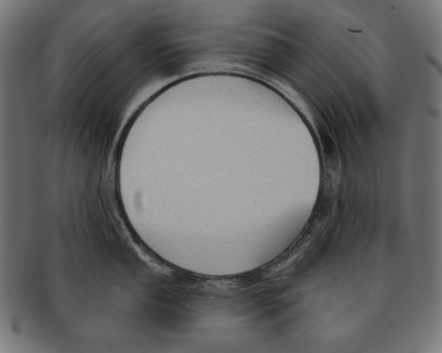 X0000091701053200709210918