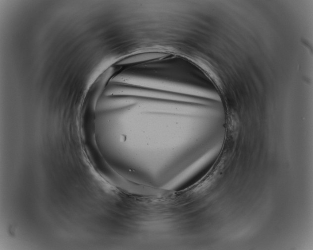 X0000091701054200709210918