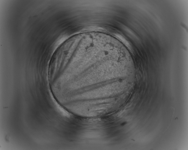 X0000091701055200709210918