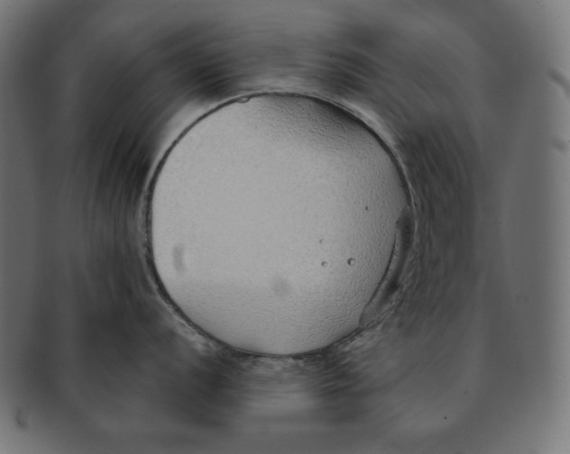 X0000091701056200709210918