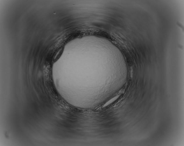 X0000091701059200709210918