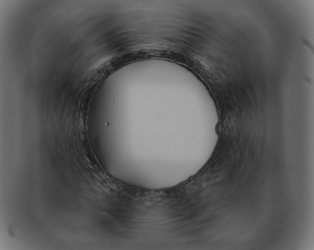 X0000091701062200709210918