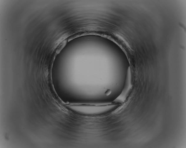 X0000091701065200709210918