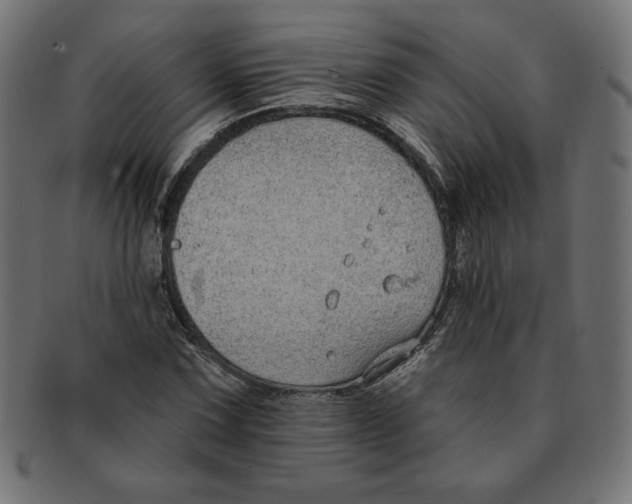 X0000091701067200709210918