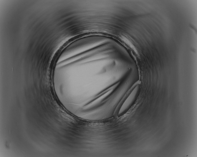 X0000091701068200709210917