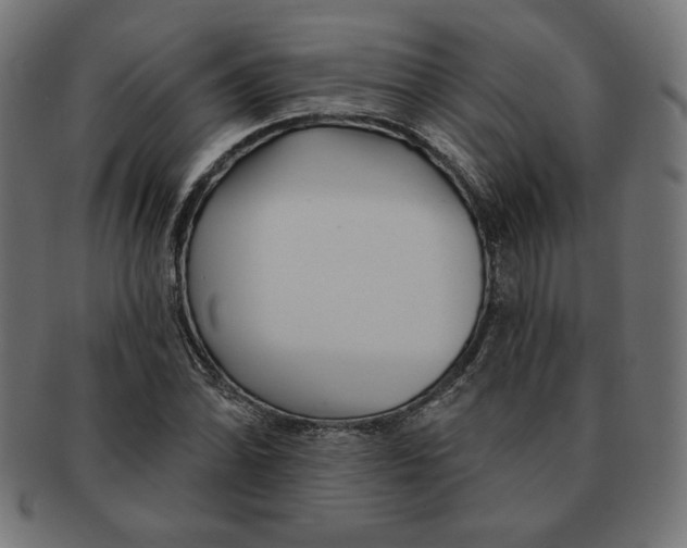 X0000091701070200709210917