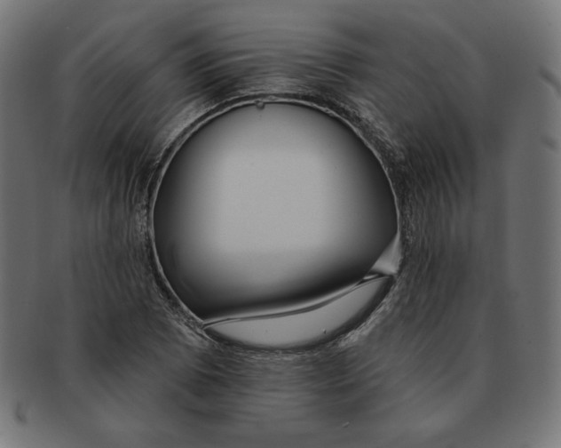 X0000091701073200709210917