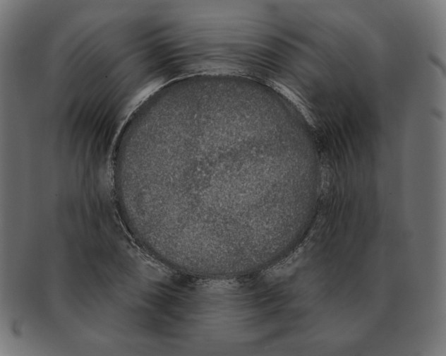 X0000091701074200709210917